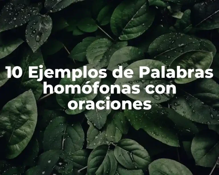 10 Ejemplos de Palabras homófonas con oraciones