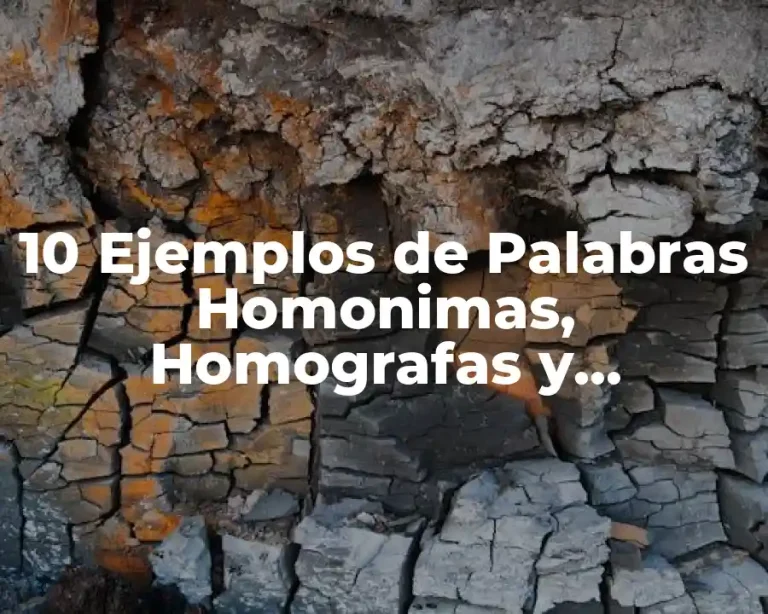 10 Ejemplos de Palabras Homonimas, Homografas y Homofonas