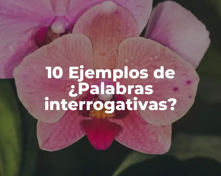 10 Ejemplos de ¿Palabras interrogativas?