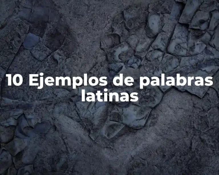 10 Ejemplos de palabras latinas
