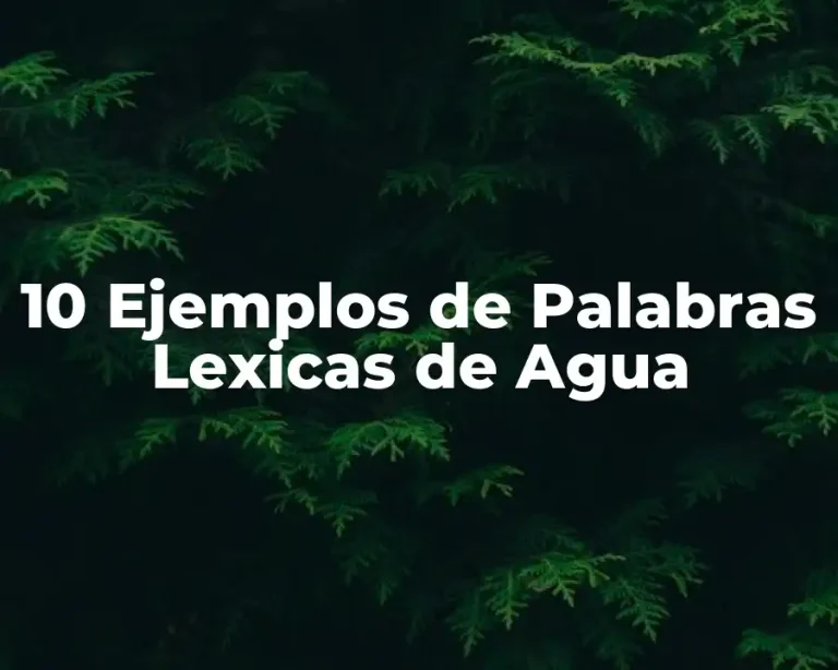 10 Ejemplos de Palabras Lexicas de Agua