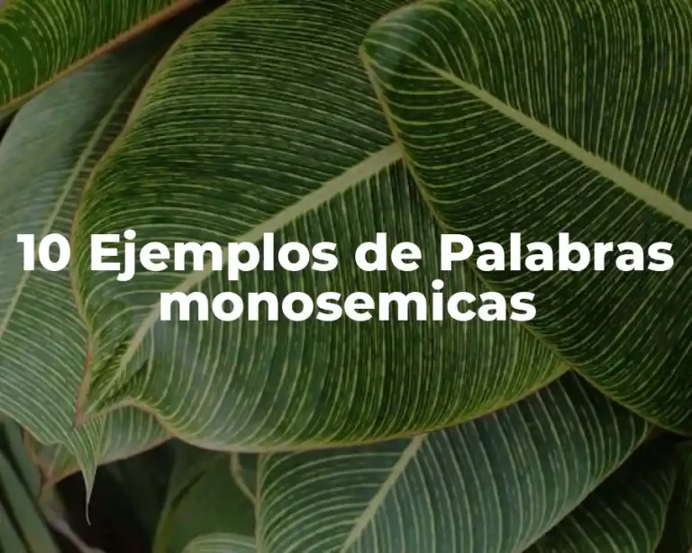 10 Ejemplos de Palabras monosemicas