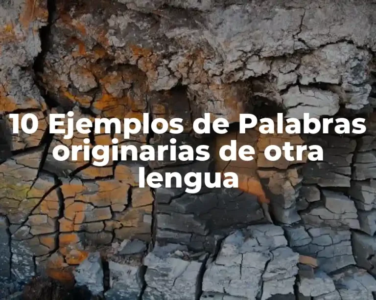 10 Ejemplos de Palabras originarias de otra lengua