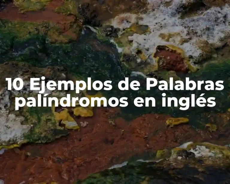 10 Ejemplos de Palabras palíndromos en inglés