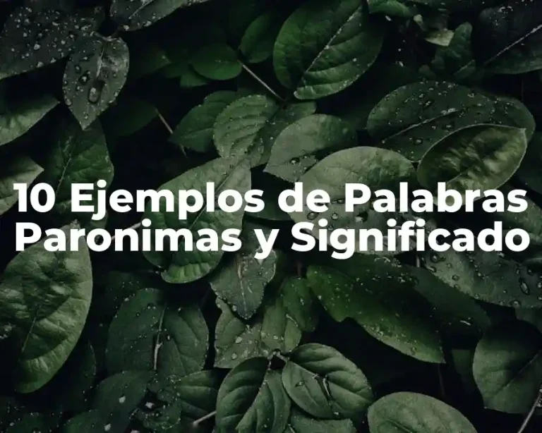 10 Ejemplos de Palabras Paronimas y Significado