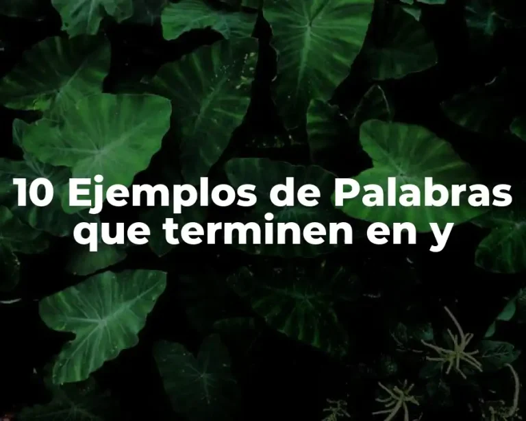 10 Ejemplos de Palabras que terminen en y