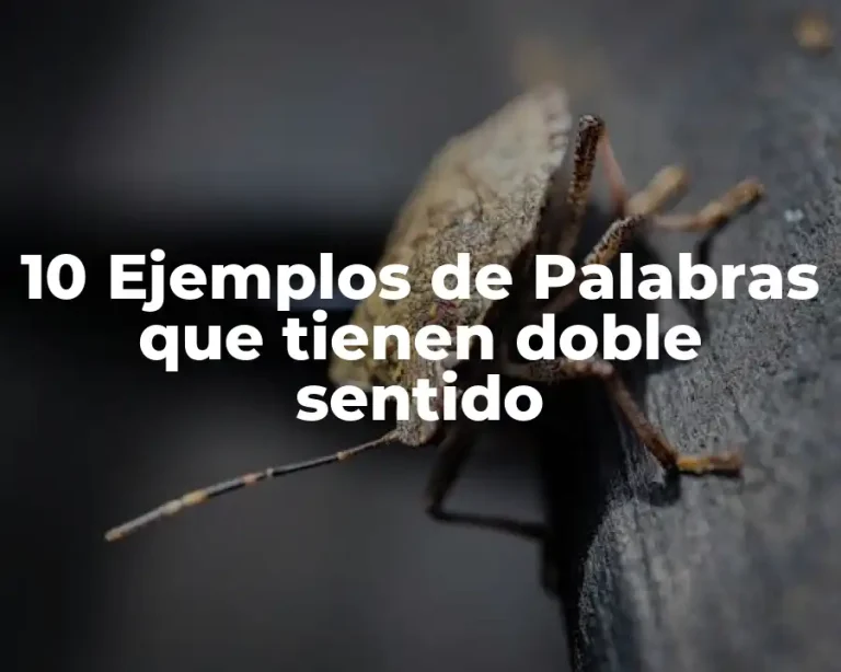 10 Ejemplos de Palabras que tienen doble sentido