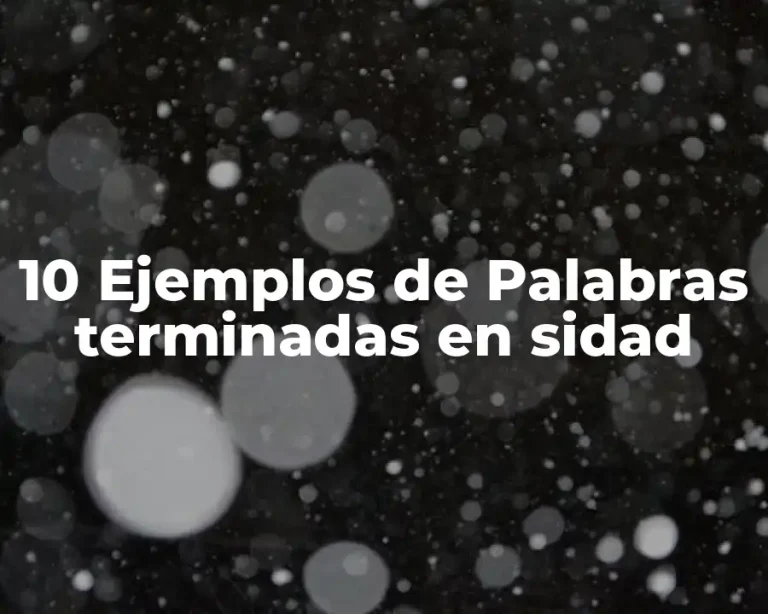10 Ejemplos de Palabras terminadas en sidad