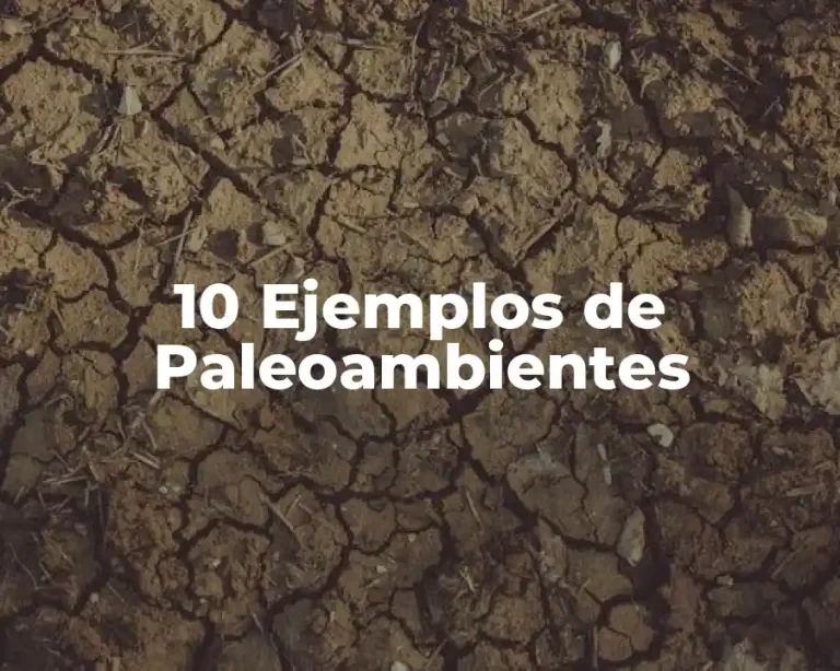 10 Ejemplos de Paleoambientes