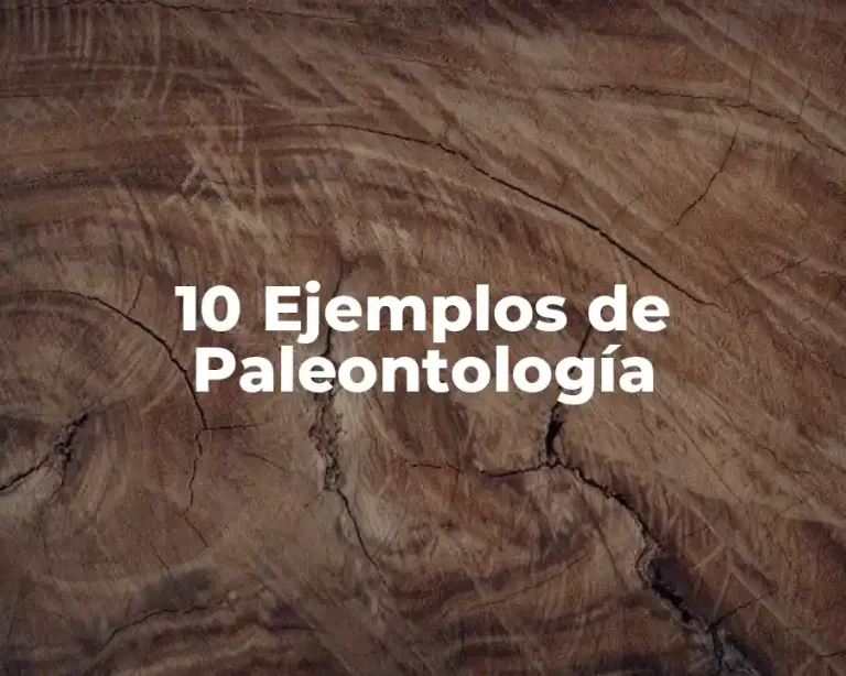 10 Ejemplos de Paleontología