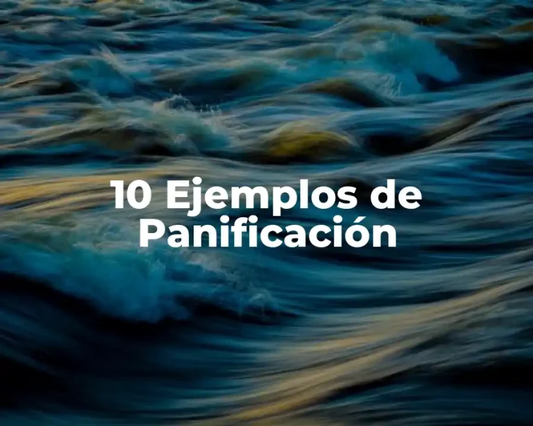10 Ejemplos de Panificación
