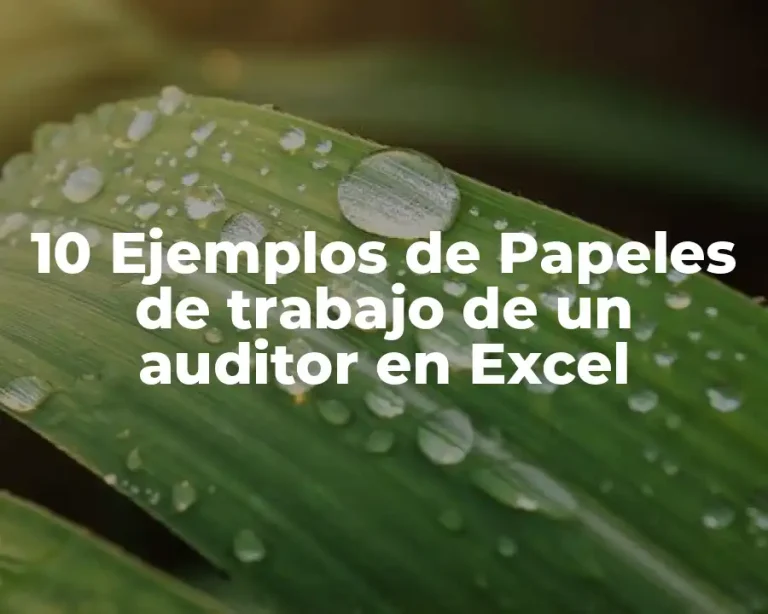 10 Ejemplos de Papeles de trabajo de un auditor en Excel