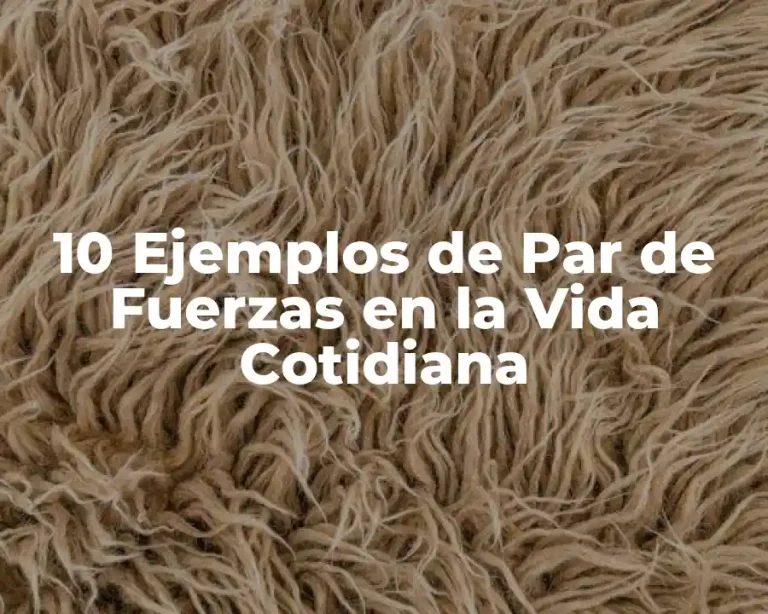 10 Ejemplos de Par de Fuerzas en la Vida Cotidiana