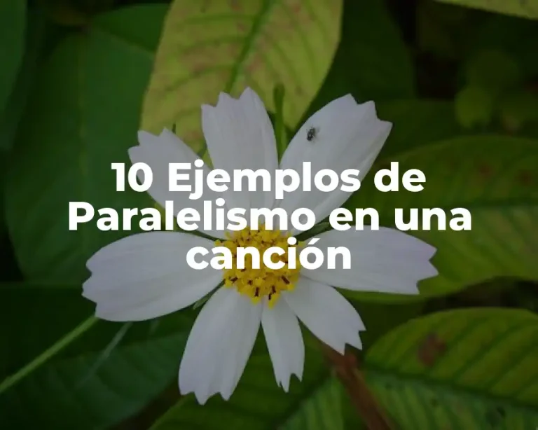 10 Ejemplos de Paralelismo en una canción