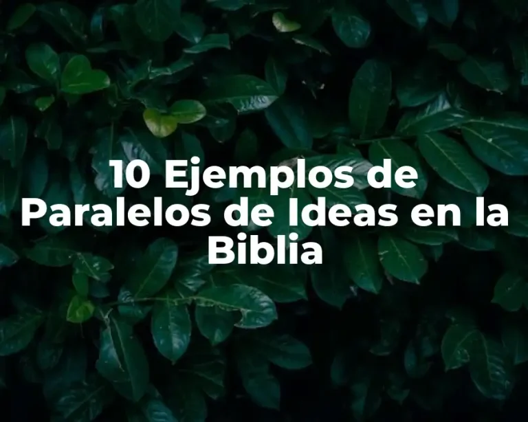 10 Ejemplos de Paralelos de Ideas en la Biblia