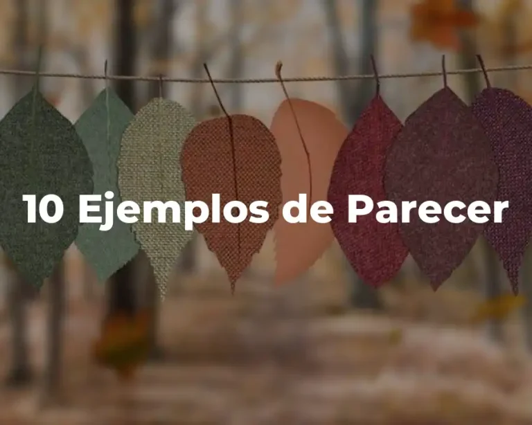 10 Ejemplos de Parecer