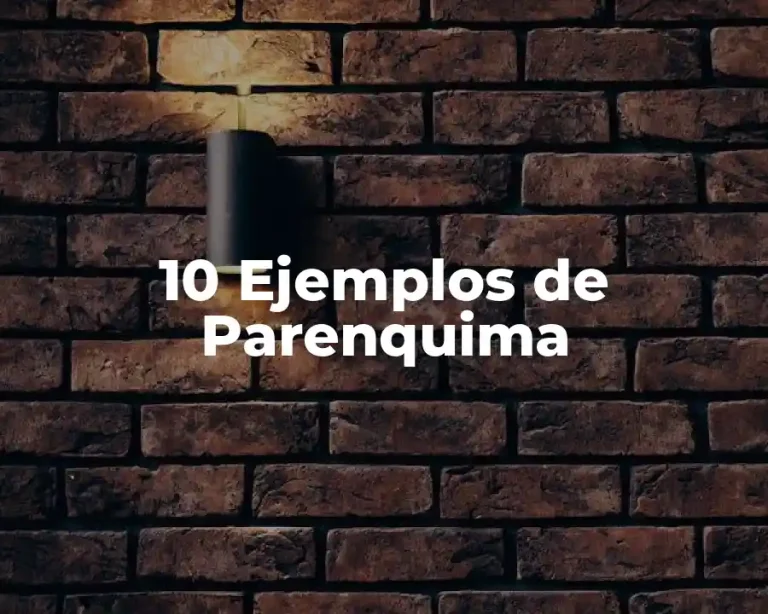 10 Ejemplos de Parenquima