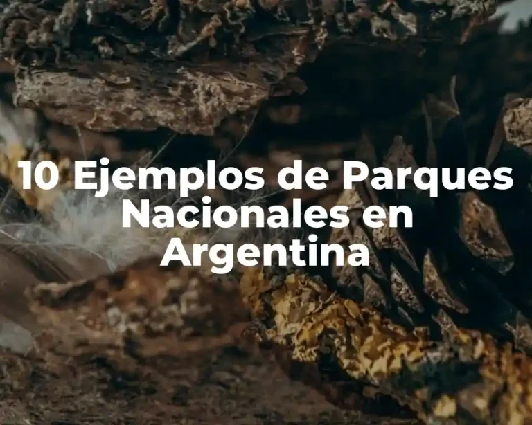 10 Ejemplos de Parques Nacionales en Argentina