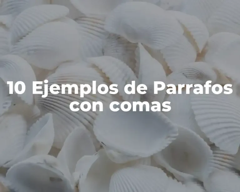 10 Ejemplos de Parrafos con comas