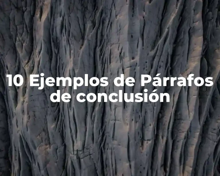 10 Ejemplos de Párrafos de conclusión
