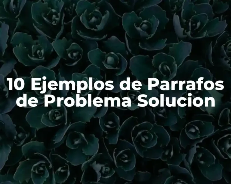 10 Ejemplos de Parrafos de Problema Solucion