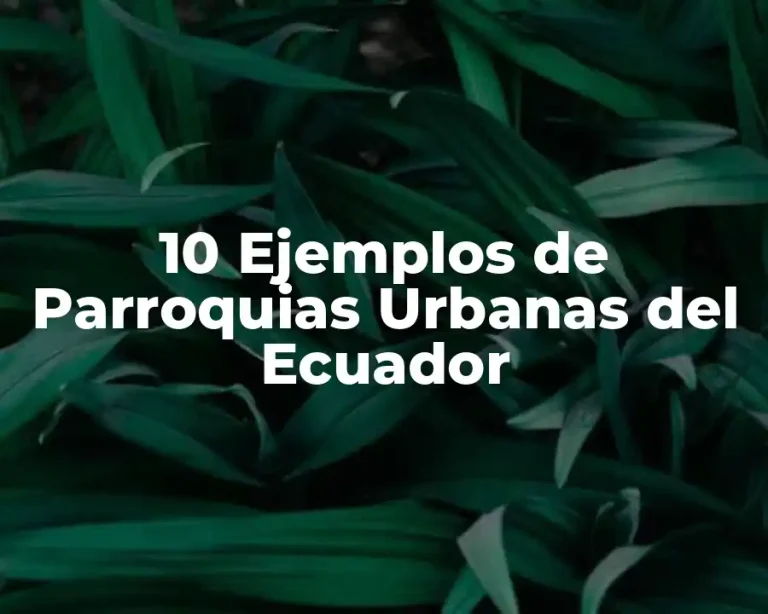 10 Ejemplos de Parroquias Urbanas del Ecuador