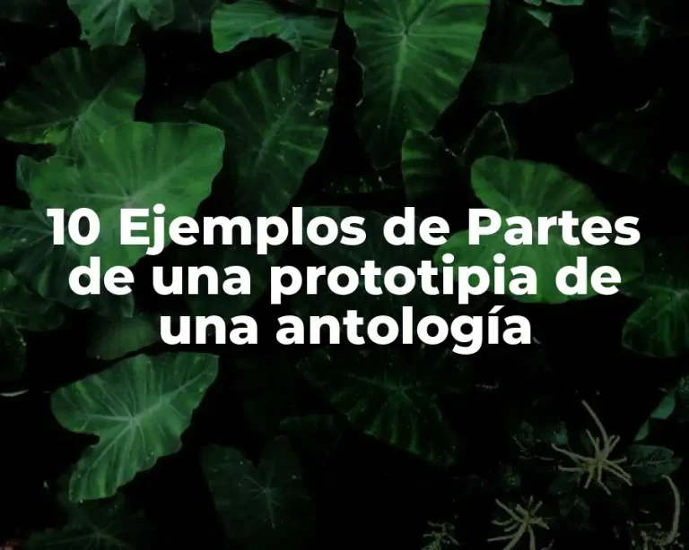 10 Ejemplos de Partes de una prototipia de una antología