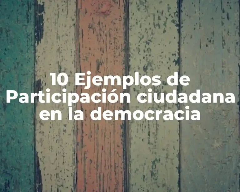 10 Ejemplos de Participación ciudadana en la democracia