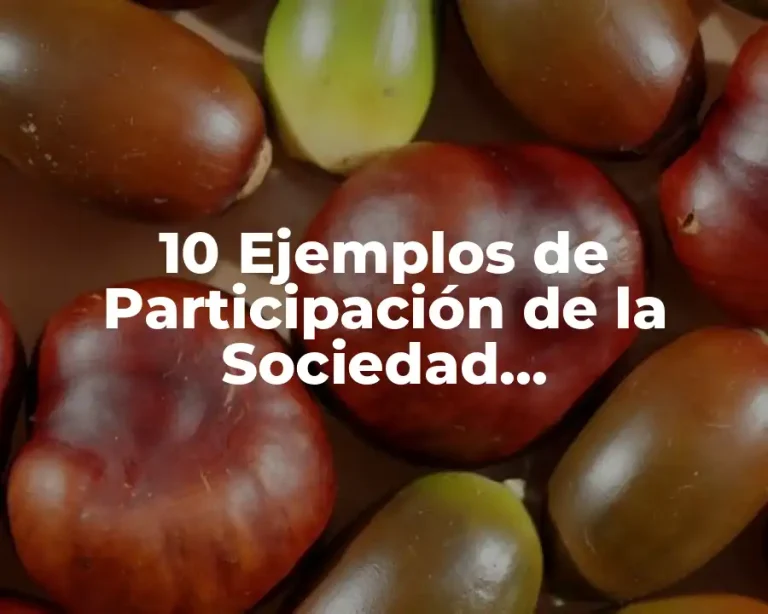 10 Ejemplos de Participación de la Sociedad Democráticamente