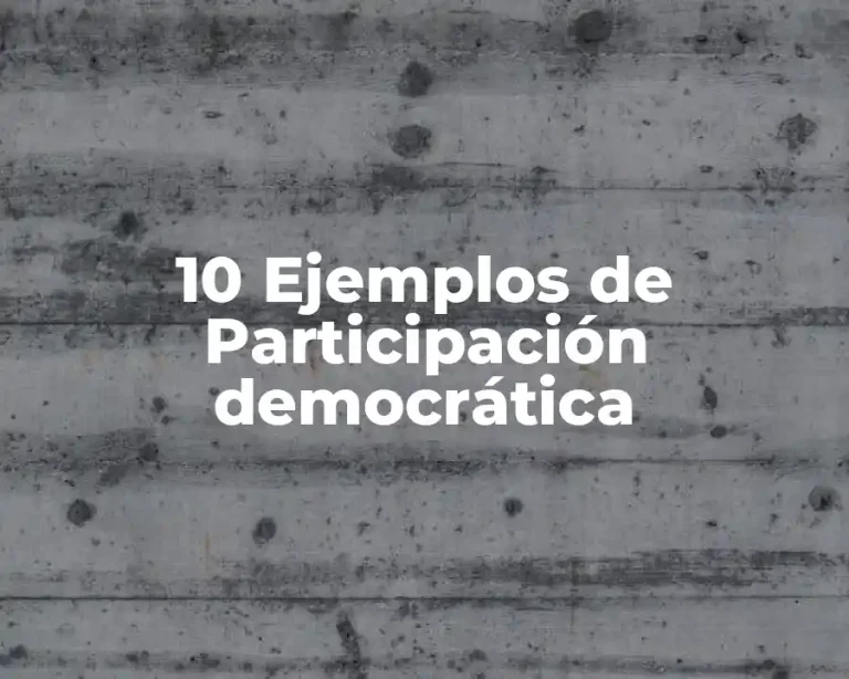 10 Ejemplos de Participación democrática