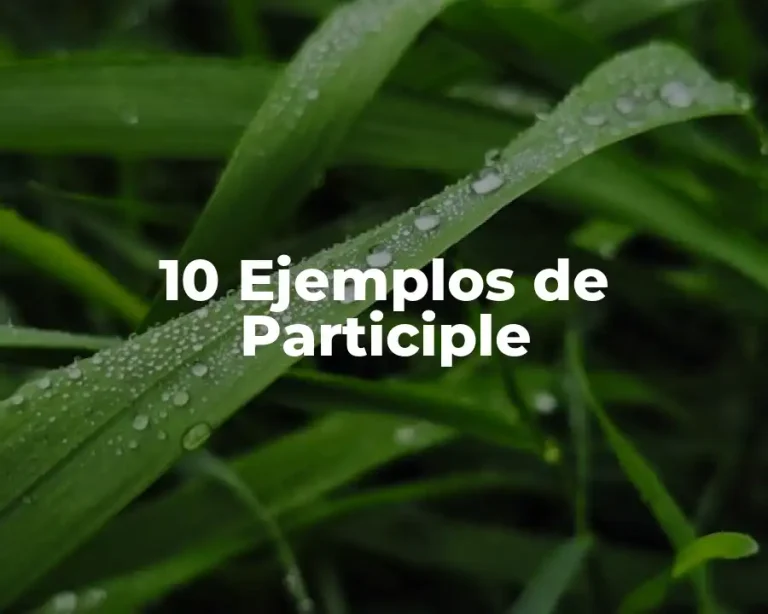 10 Ejemplos de Participle