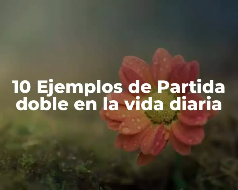 10 Ejemplos de Partida doble en la vida diaria