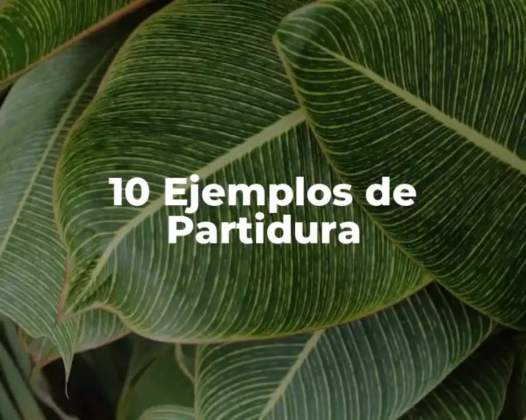 10 Ejemplos de Partidura