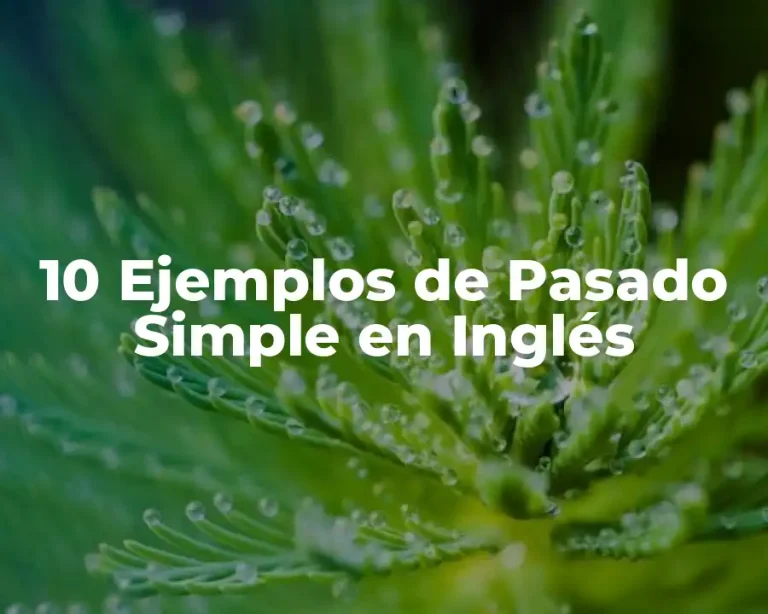 10 Ejemplos de Pasado Simple en Inglés