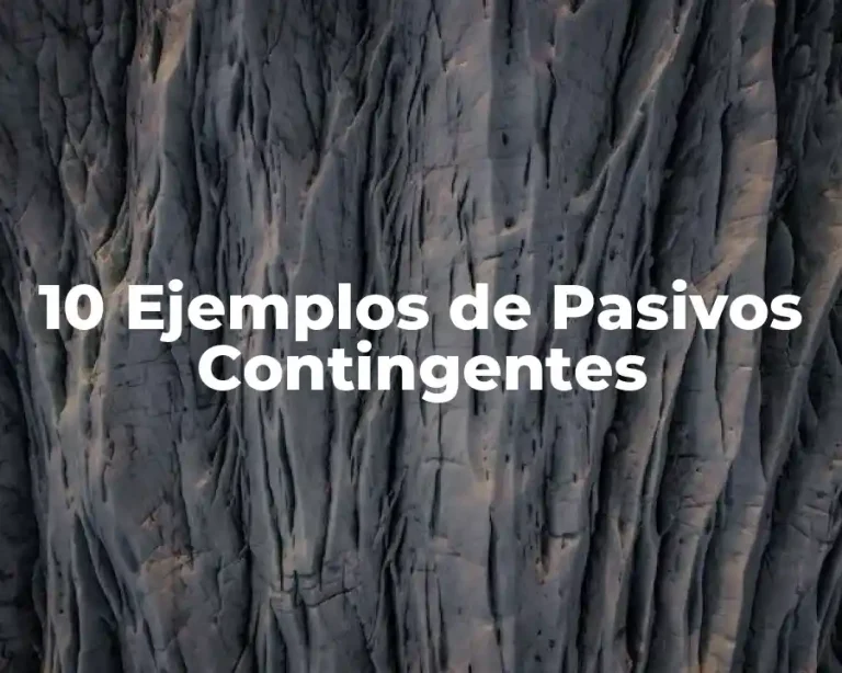 10 Ejemplos de Pasivos Contingentes