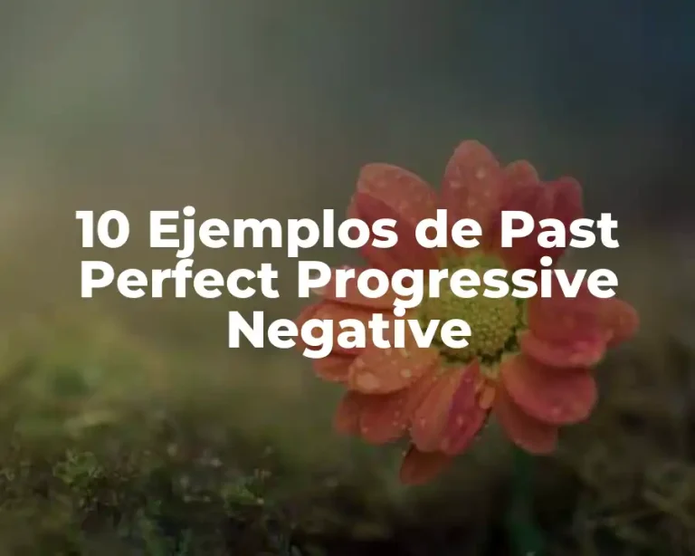 10 Ejemplos de Past Perfect Progressive Negative