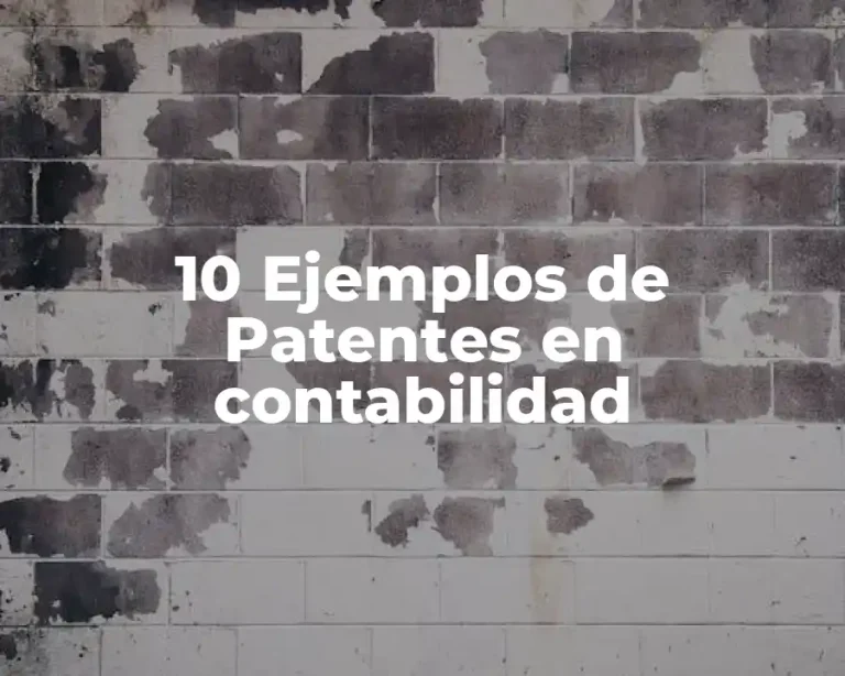10 Ejemplos de Patentes en contabilidad
