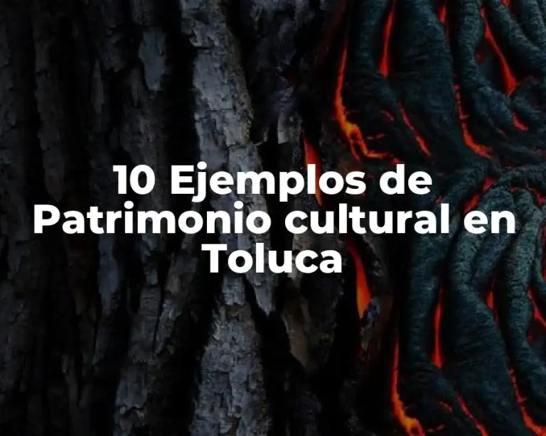 10 Ejemplos de Patrimonio cultural en Toluca