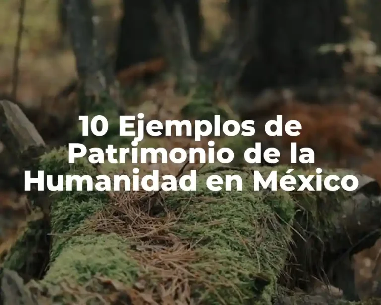10 Ejemplos de Patrimonio de la Humanidad en México