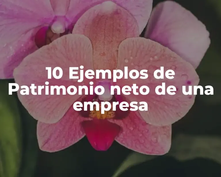 10 Ejemplos de Patrimonio neto de una empresa