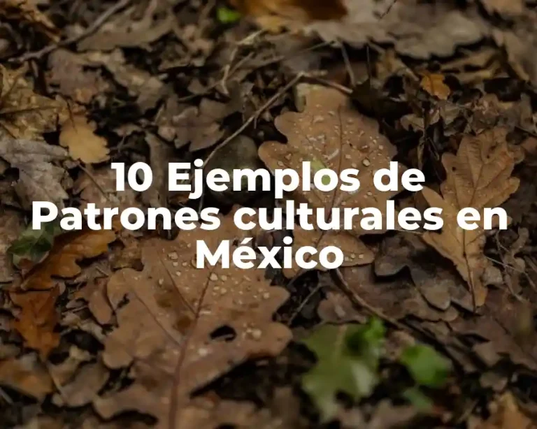 10 Ejemplos de Patrones culturales en México