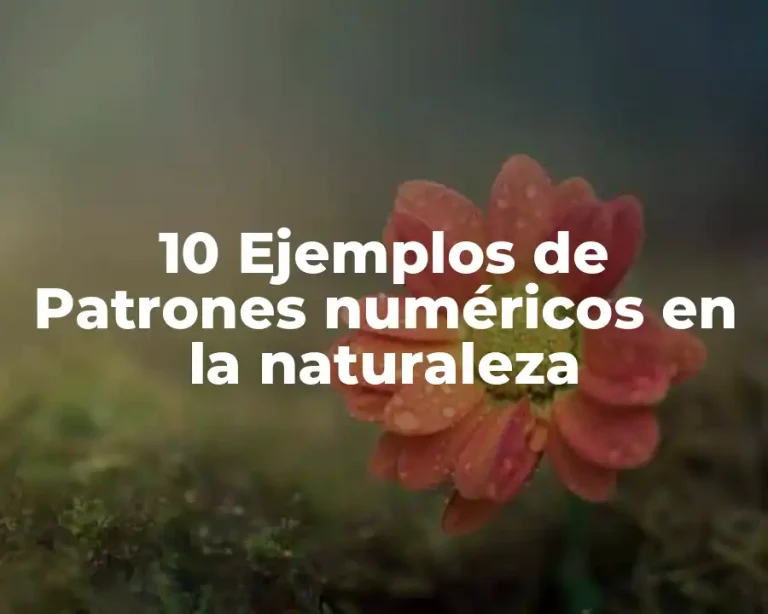 10 Ejemplos de Patrones numéricos en la naturaleza