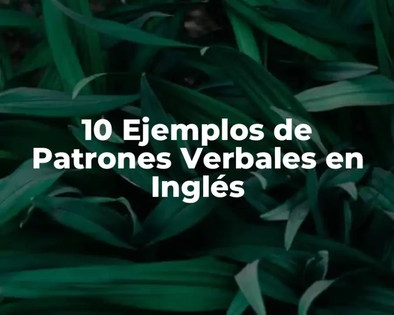 10 Ejemplos de Patrones Verbales en Inglés