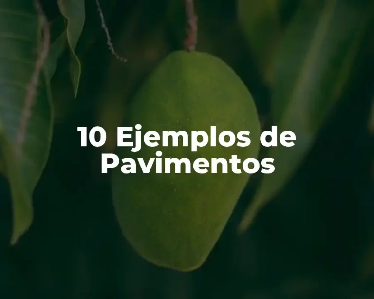 10 Ejemplos de Pavimentos