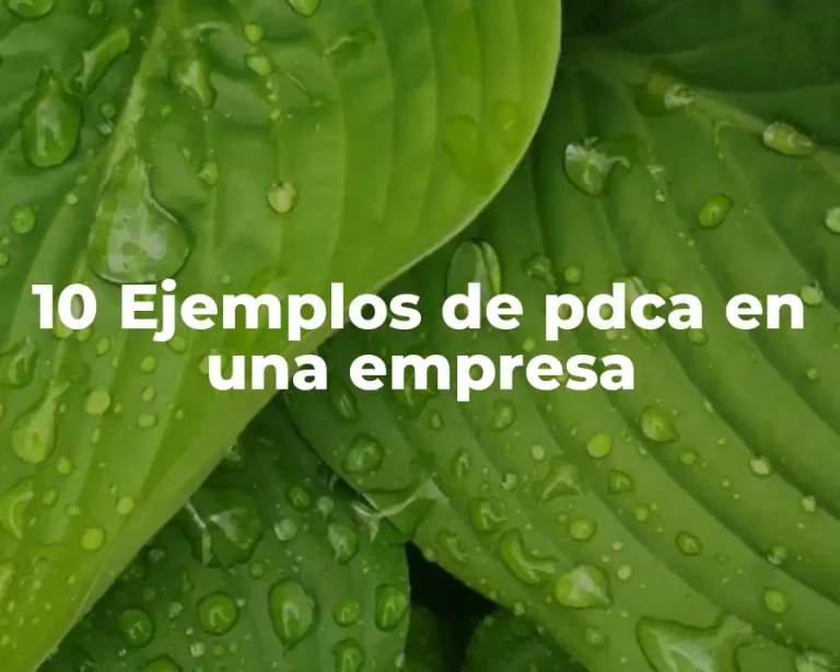 10 Ejemplos de pdca en una empresa