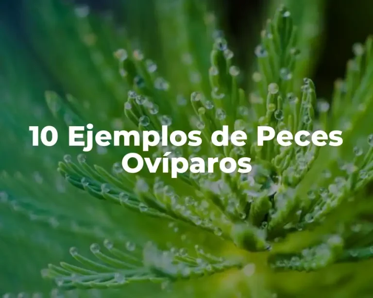 10 Ejemplos de Peces Ovíparos