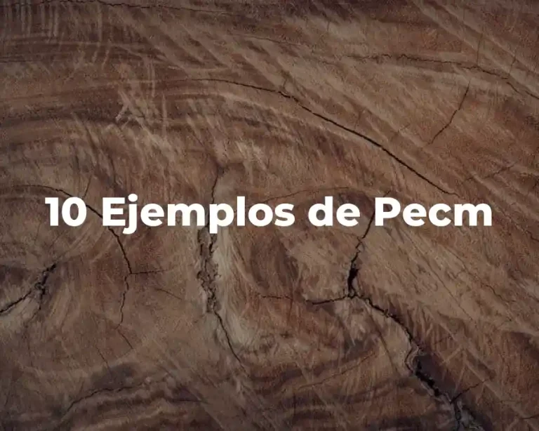 10 Ejemplos de Pecm