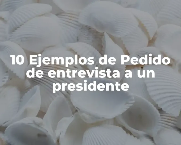 10 Ejemplos de Pedido de entrevista a un presidente