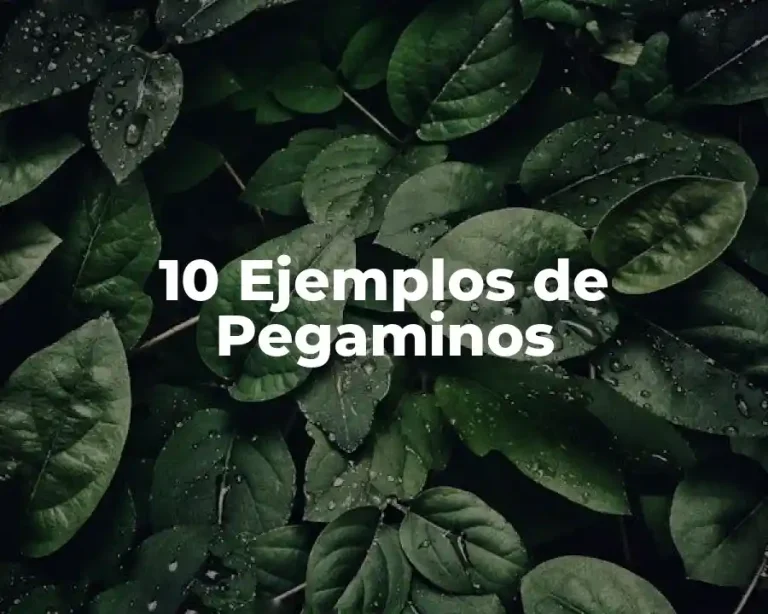 10 Ejemplos de Pegaminos