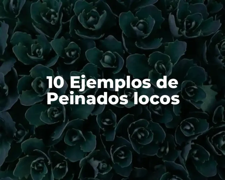 10 Ejemplos de Peinados locos